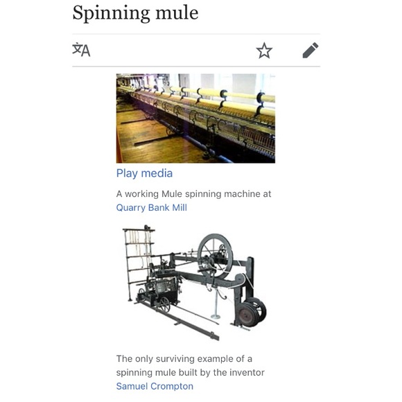 Meet your Posher, THE SPINNING MULE 🐃🚴🏻♂️ - Picture 5 of 8